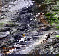 Full-Day Canyoning Experience at Stunning Empress Canyon - Accommodation Sunshine Coast