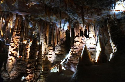 Jenolan Caves: Orient Cave Tour - Accommodation Sunshine Coast 2
