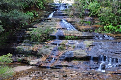 Blue Mountains Day Trip From Sydney With Amazing Lookouts (Private Tour) - Accommodation Sunshine Coast 6
