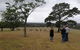 Blue Mountains Day Trip From Sydney With Amazing Lookouts (Private Tour) - thumb 1