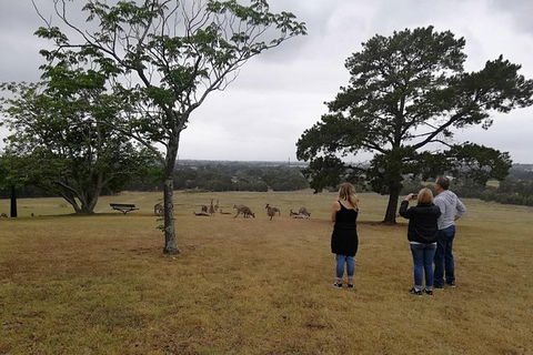 Blue Mountains Day Trip From Sydney With Amazing Lookouts (Private Tour) - Accommodation Sunshine Coast 1