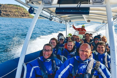 Premier Whale Watching Byron Bay - Accommodation Sunshine Coast 1