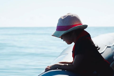 Premier Whale Watching Byron Bay - Accommodation Sunshine Coast 3