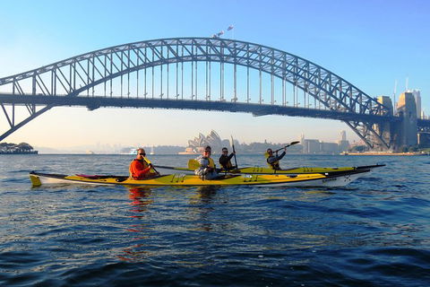 Beautiful Sydney Sunriser Kayaking Tour - Accommodation Sunshine Coast 5