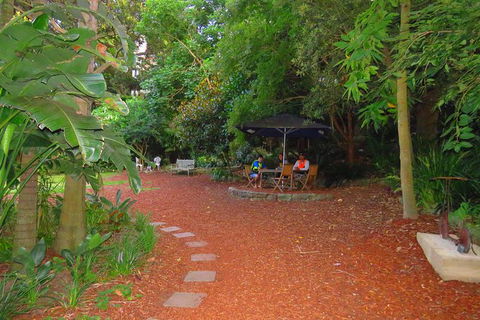 Beautiful Sydney Sunriser Kayaking Tour - Accommodation Sunshine Coast 3