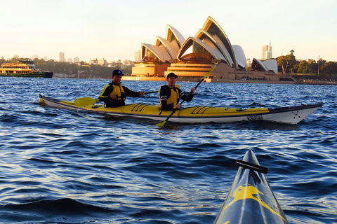 Beautiful Sydney Sunriser Kayaking Tour - Accommodation Sunshine Coast 4