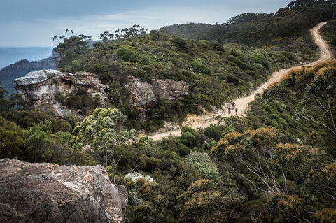 Blue Labyrinth Tour: Sydney Blue Mountains By E-Bike - Accommodation Sunshine Coast 5