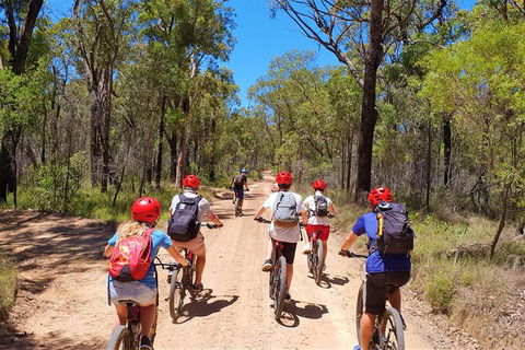 Blue Labyrinth Tour: Sydney Blue Mountains By E-Bike - Accommodation Sunshine Coast 1