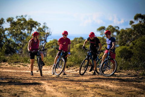 Blue Labyrinth Tour: Sydney Blue Mountains By E-Bike - Accommodation Sunshine Coast 3