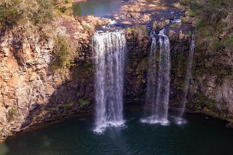 Rainforest & Waterfall Experience - Accommodation Sunshine Coast 1