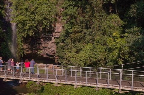 Rainforest & Waterfall Experience - Accommodation Sunshine Coast 4