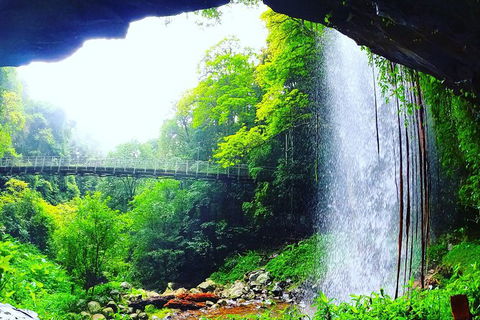 Rainforest & Waterfall Experience - Accommodation Sunshine Coast 6