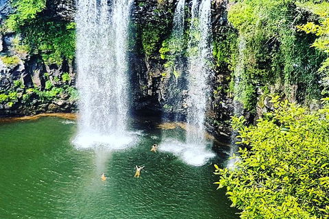 Rainforest & Waterfall Experience - Accommodation Sunshine Coast 2