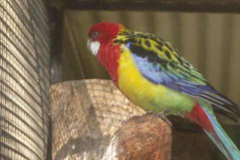 Blue Mountains PRIVATE - Full Day Tour - 6 People Max - Accommodation Sunshine Coast 8