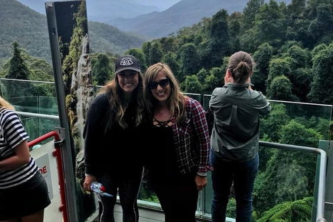 Blue Mountains PRIVATE - Full Day Tour - 6 People Max - Accommodation Sunshine Coast 4