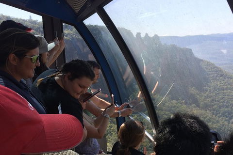 Blue Mountains PRIVATE - Full Day Tour - 6 People Max - Accommodation Sunshine Coast 9