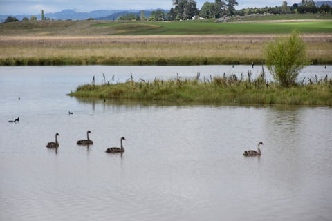 Beardy Waters Dam And Woodlands - Accommodation Sunshine Coast 0