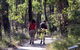 Forest Path, Crooked Brook - thumb 0