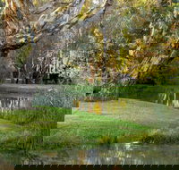 Gateway Island Parklands - Accommodation Sunshine Coast