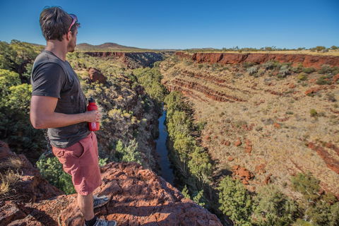 Gorge Rim Walk, Dales Gorge - Accommodation Sunshine Coast 0