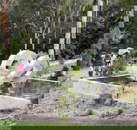 Maroochy Regional Bushland Botanic Garden - Accommodation Sunshine Coast