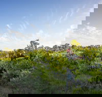 Mclaren Vale - Accommodation Sunshine Coast