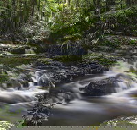 Protesters Falls Walking Track - Accommodation Sunshine Coast