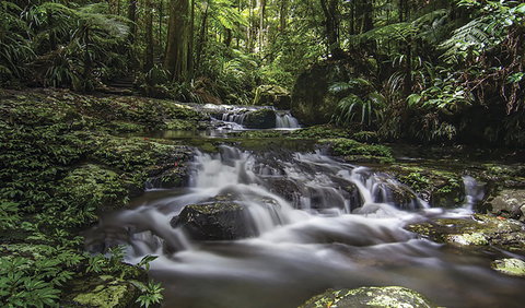 Protesters Falls Walking Track - Accommodation Sunshine Coast 0