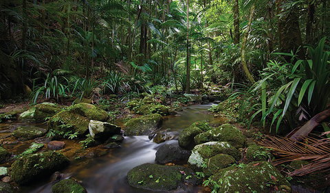 Protesters Falls Walking Track - Accommodation Sunshine Coast 2