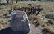 Wangaraleednie Monument & Ruins - thumb 0