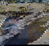 Wangaraleednie Monument  Ruins - Accommodation Sunshine Coast