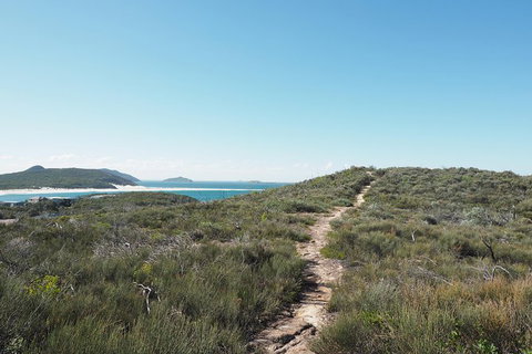 Big Rocky! Full Day Guided Walk - Accommodation Sunshine Coast 5