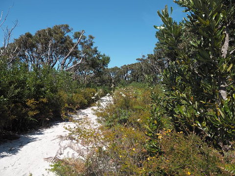 Big Rocky! Full Day Guided Walk - Accommodation Sunshine Coast 8