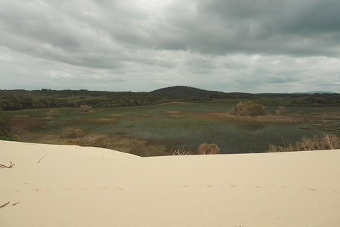 Big Rocky! Full Day Guided Walk - Accommodation Sunshine Coast 6
