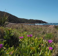 Big Rocky Full Day Guided Walk - Accommodation Sunshine Coast