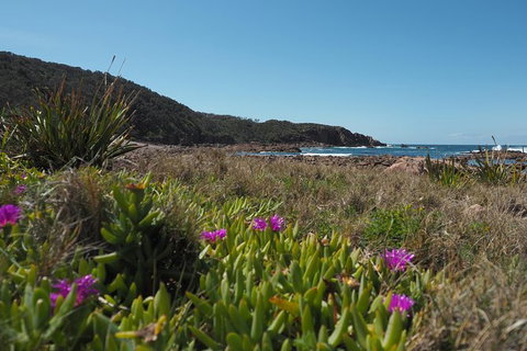 Big Rocky! Full Day Guided Walk - Accommodation Sunshine Coast 0