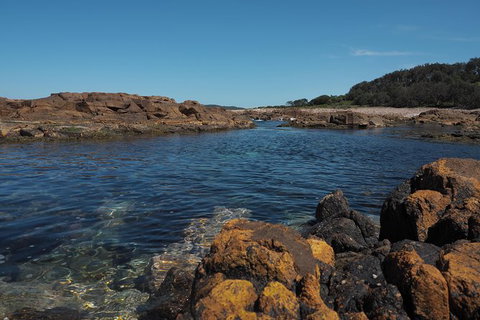 Big Rocky! Full Day Guided Walk - Accommodation Sunshine Coast 2