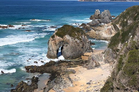 Narooma And Tilba Valley Private Tour - Accommodation Sunshine Coast 8