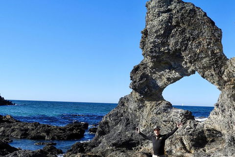 Narooma And Tilba Valley Private Tour - Accommodation Sunshine Coast 4