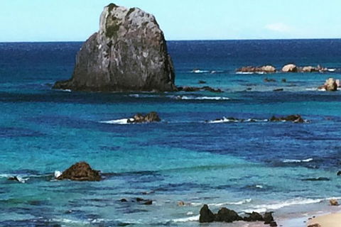 Narooma And Tilba Valley Private Tour - Accommodation Sunshine Coast 9