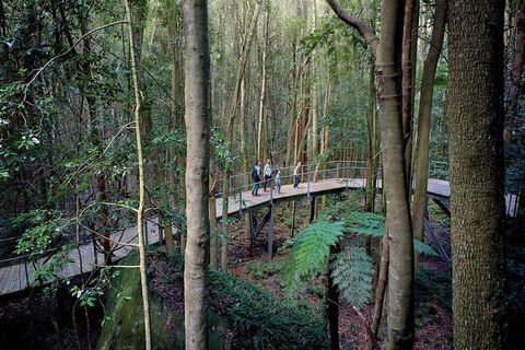 Blue Mountains PRIVATE Day Tour - Accommodation Sunshine Coast 11