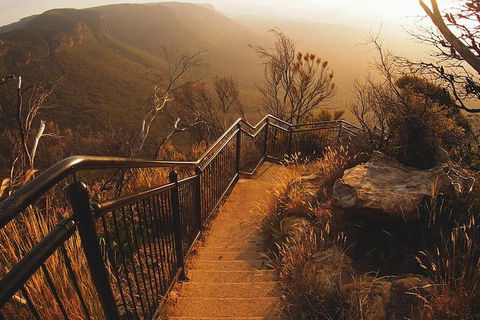 Blue Mountains Vintage Cadillac Tour With Local Guide - Accommodation Sunshine Coast 5