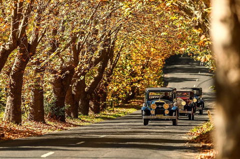 Blue Mountains Vintage Cadillac Tour With Local Guide - Accommodation Sunshine Coast 8