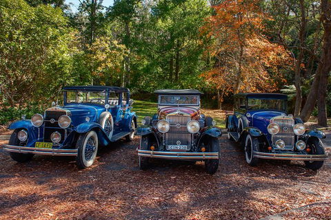 Blue Mountains Vintage Cadillac Tour With Local Guide - Accommodation Sunshine Coast 2