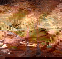Jenolan Caves Ribbon Cave Tour - Accommodation Sunshine Coast