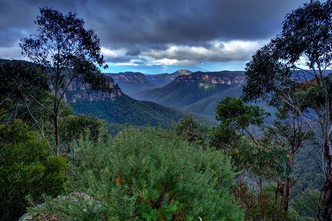 Ultimate Blue Mountains And Wildlife Tour - Accommodation Sunshine Coast 6