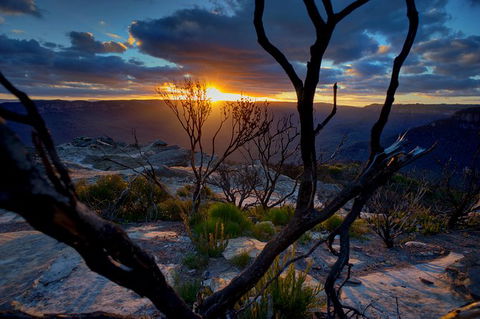 Ultimate Blue Mountains And Wildlife Tour - Accommodation Sunshine Coast 0