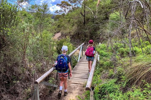 Blue Mountains Secret Places Adventure - Accommodation Sunshine Coast 4