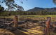 Blue Mountains Secret Places Adventure - thumb 3