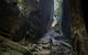 Blue Mountains Secret Places Adventure - thumb 2